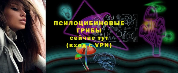 стафф Аркадак