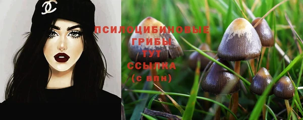 молекула духа Армянск
