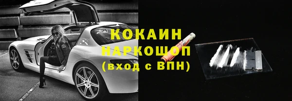 стафф Аркадак