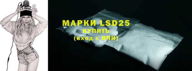 стафф Аркадак