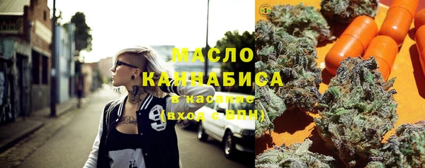 твердый Арсеньев
