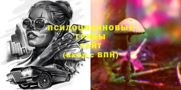 молекула духа Армянск