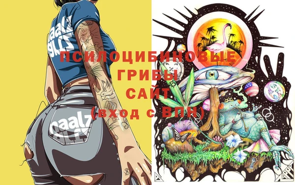 стафф Аркадак