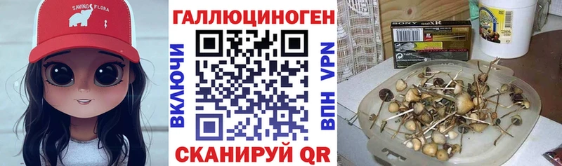 Псилоцибиновые грибы прущие грибы  Купить закладки  Анапа 